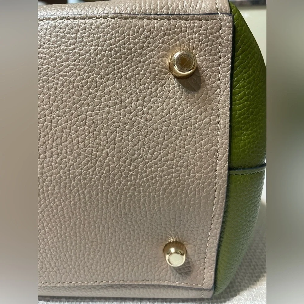 Coach Tru-color Grained Leather Swagger